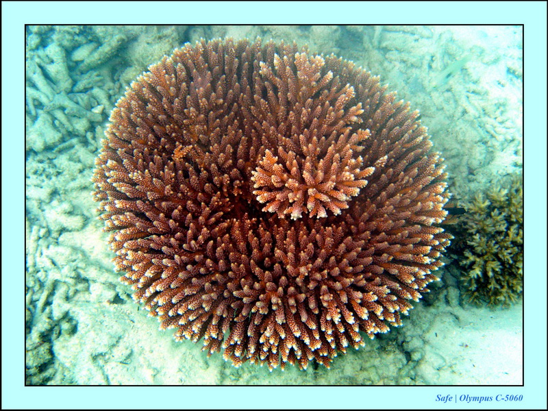 2005 - 08 - Perhentian  - 069.JPG